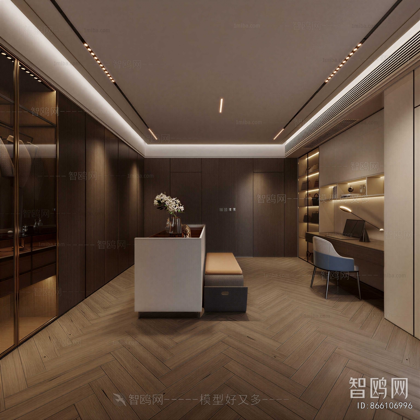 Modern Clothes Storage Area