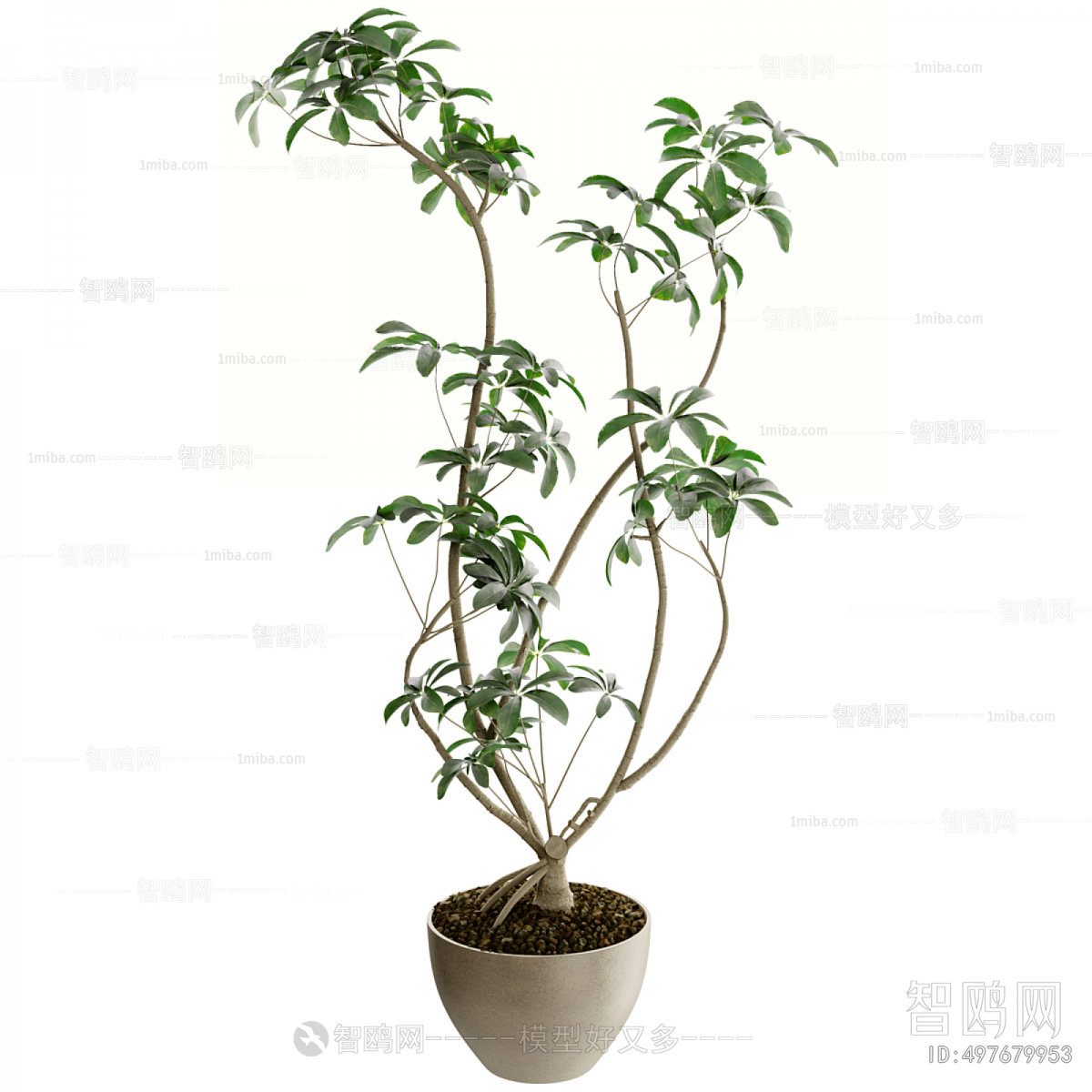 Modern Ground Green Plant Potted Plants