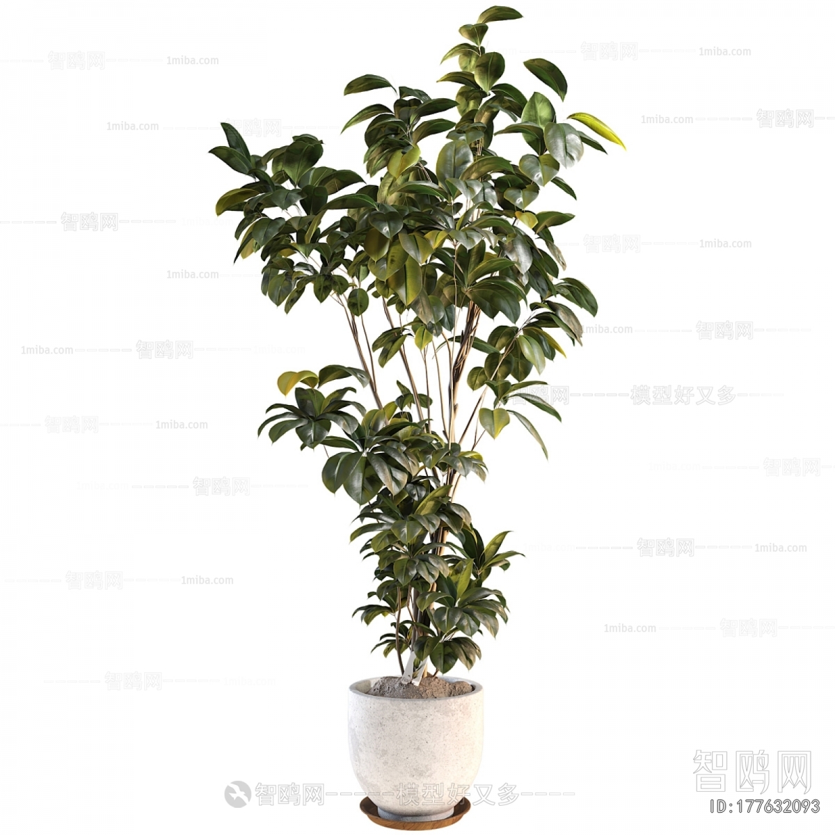 Modern Ground Green Plant Potted Plants