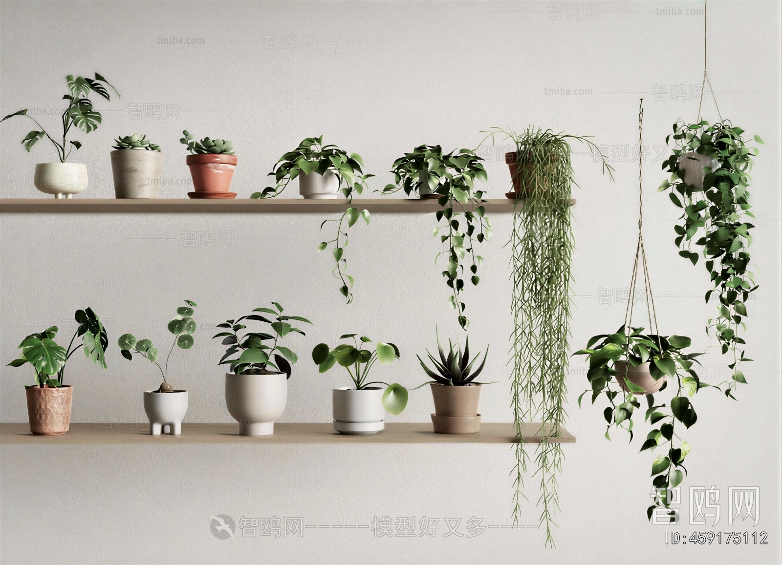 Modern Potted Green Plant