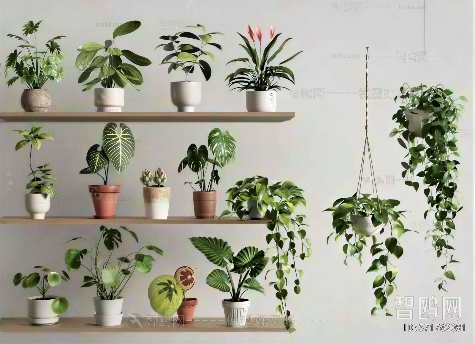 Modern Potted Green Plant