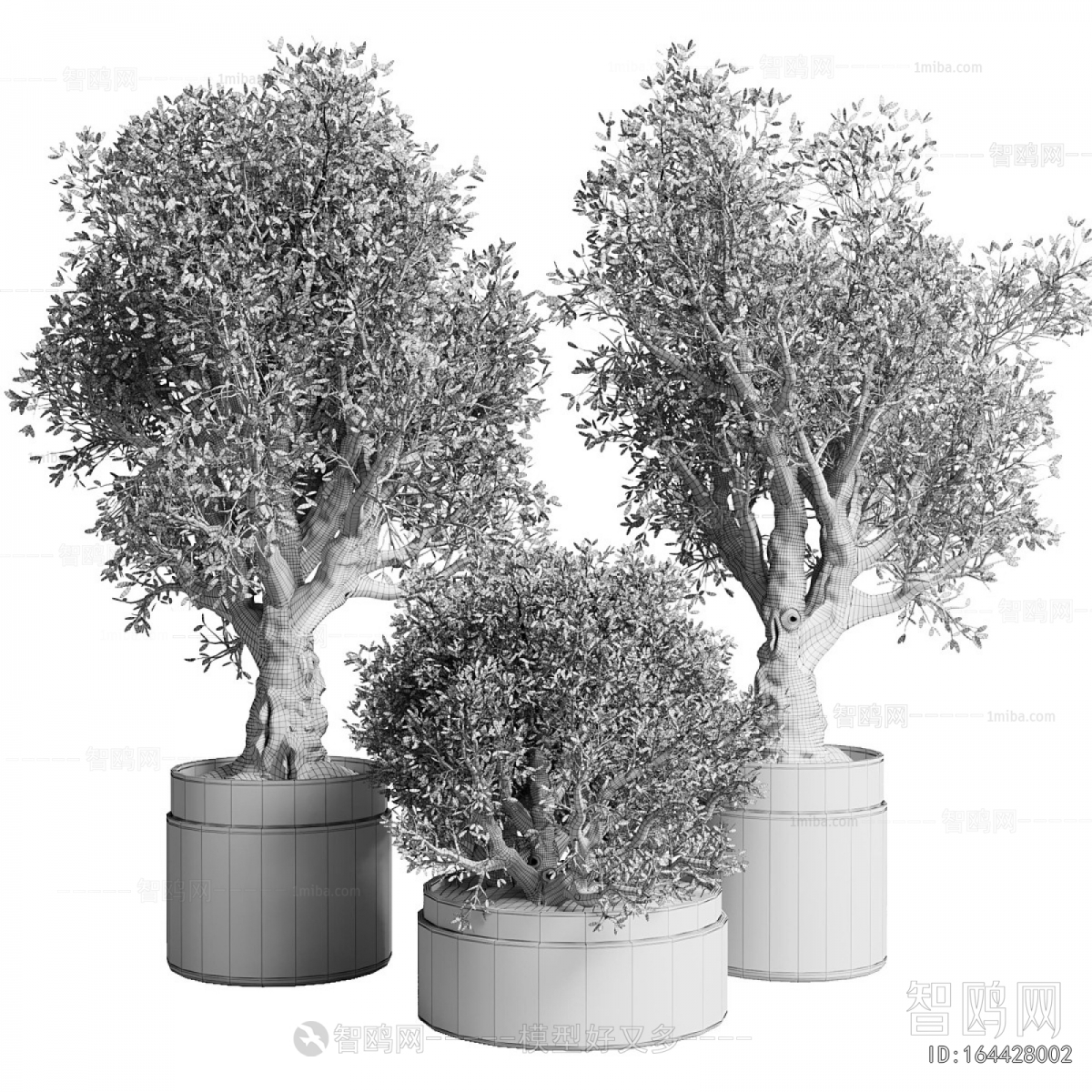 Modern Ground Green Plant Potted Plants