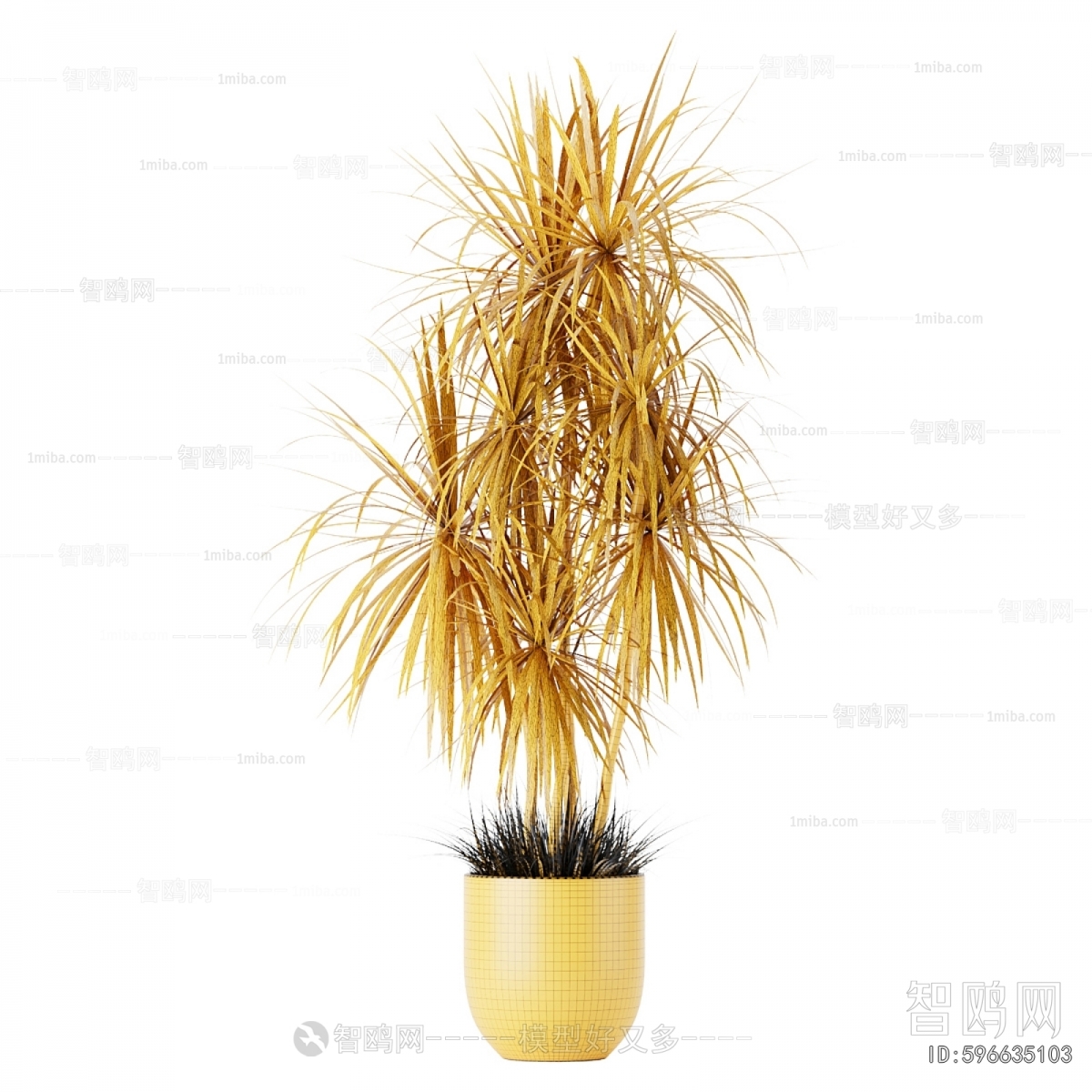 Modern Ground Green Plant Potted Plants