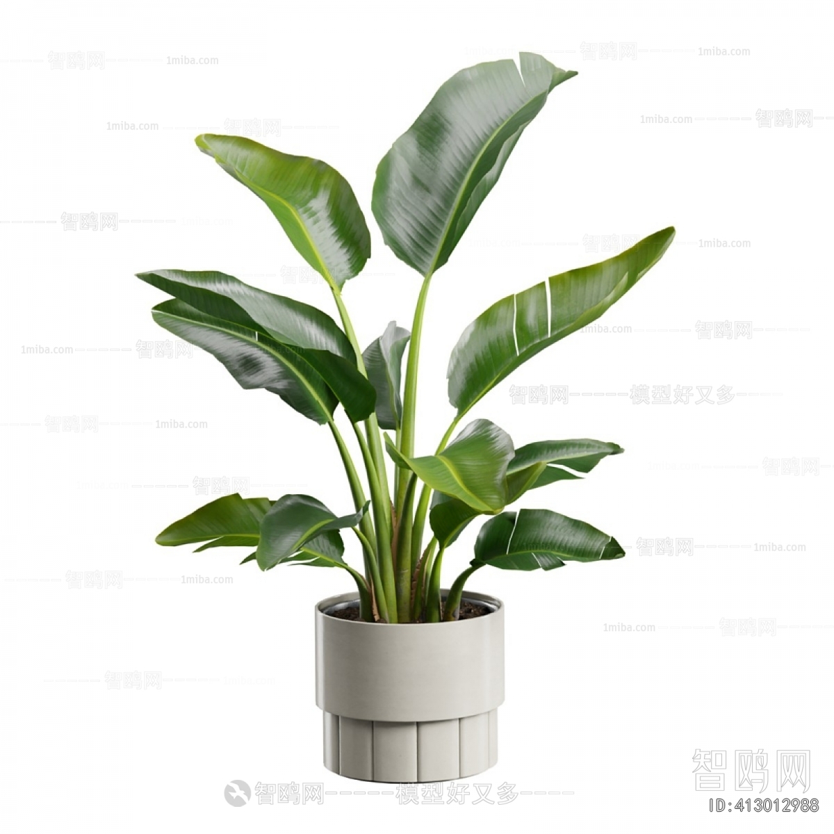 Modern Ground Green Plant Potted Plants