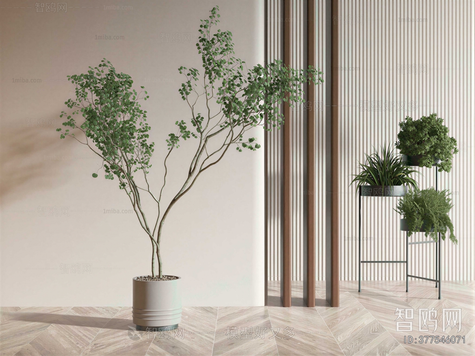 Modern Ground Green Plant Potted Plants