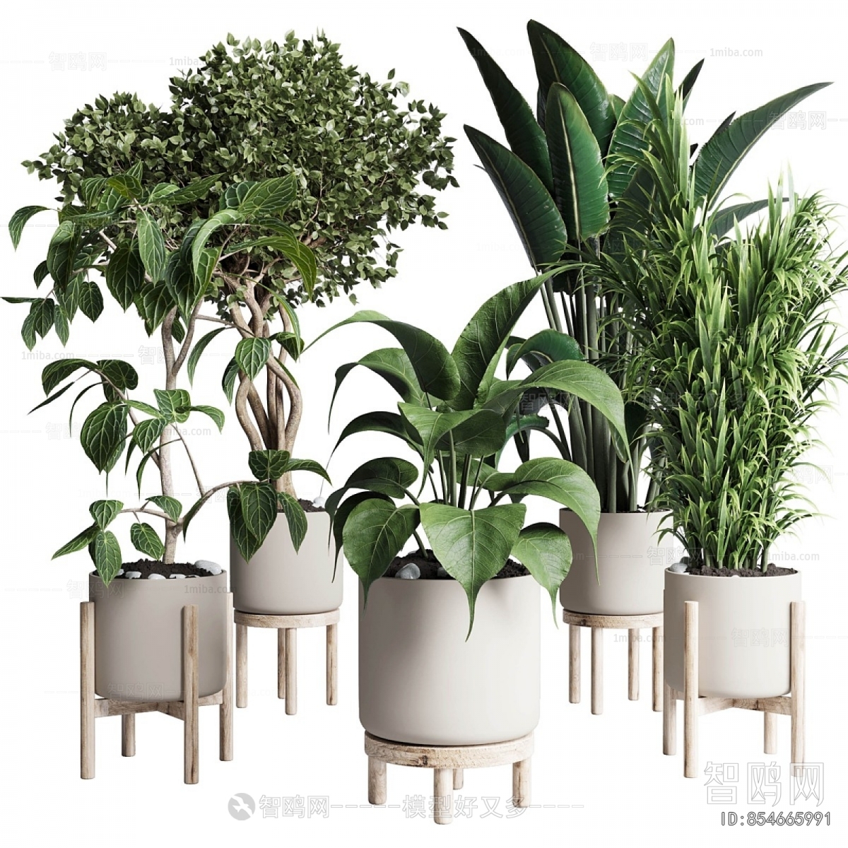 Modern Ground Green Plant Potted Plants
