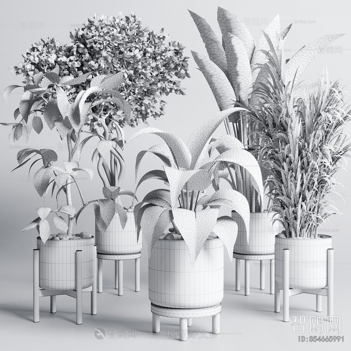 Modern Ground Green Plant Potted Plants