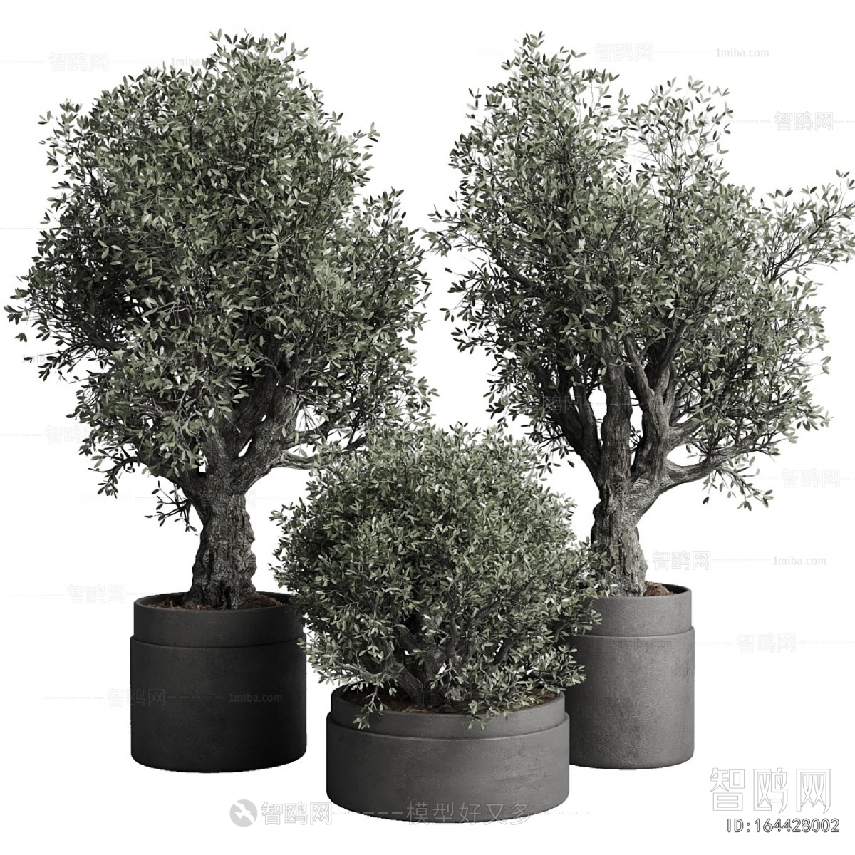 Modern Ground Green Plant Potted Plants