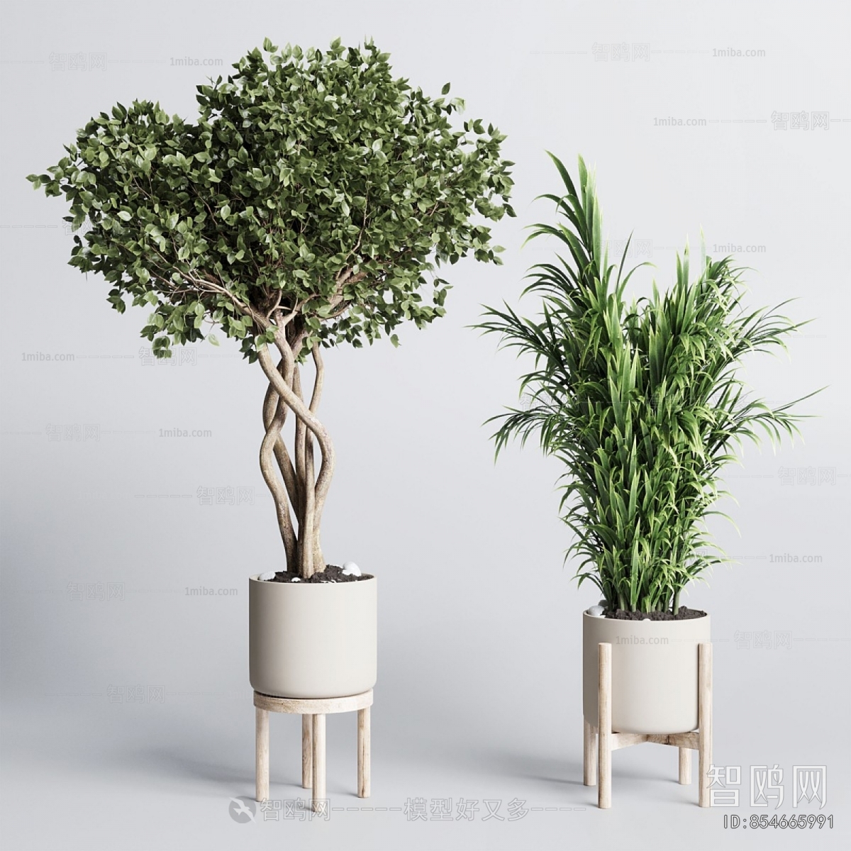 Modern Ground Green Plant Potted Plants