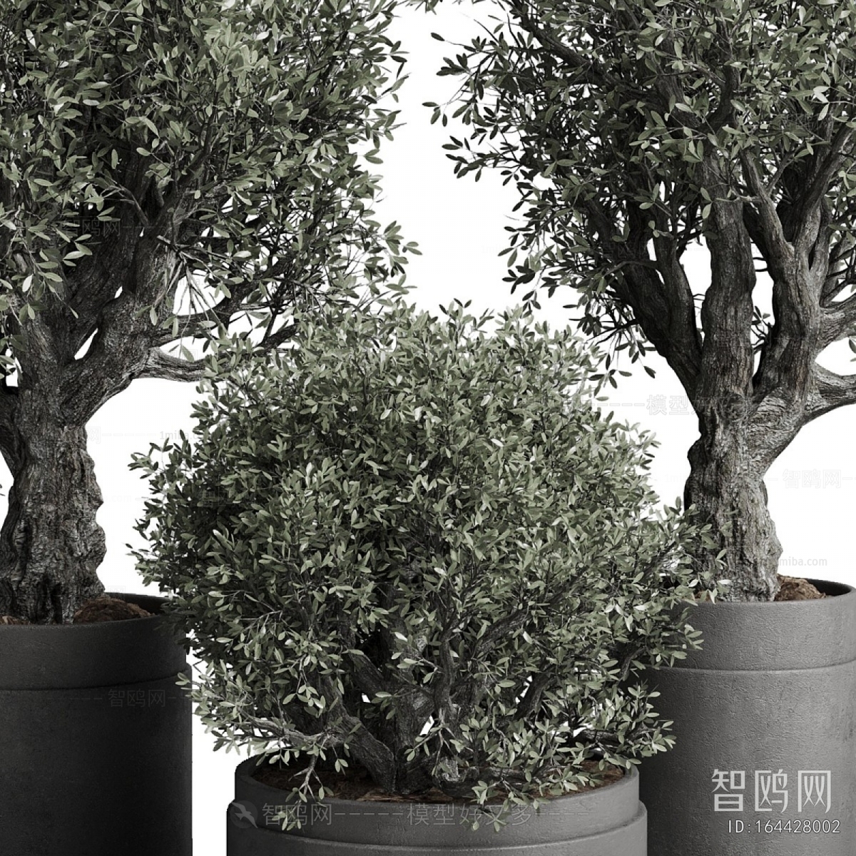 Modern Ground Green Plant Potted Plants