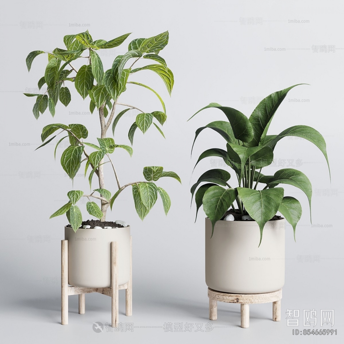 Modern Ground Green Plant Potted Plants