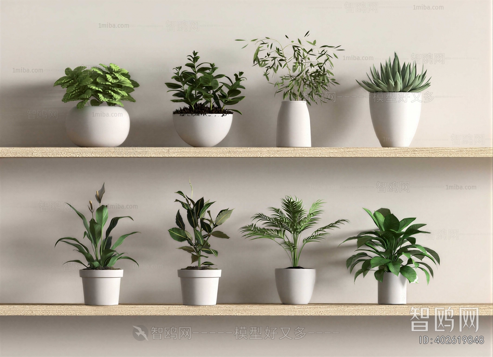 Modern Potted Green Plant