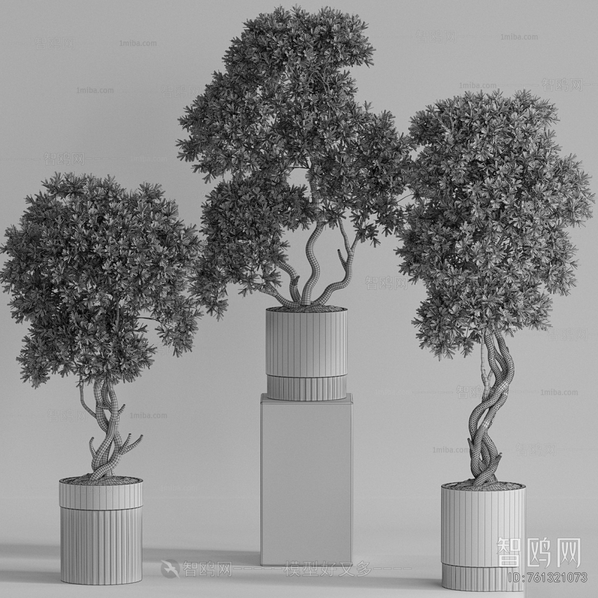 Modern Ground Green Plant Potted Plants