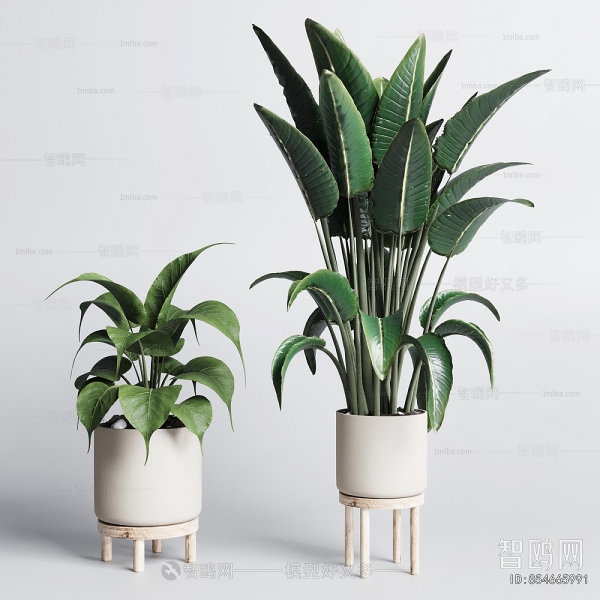 Modern Ground Green Plant Potted Plants