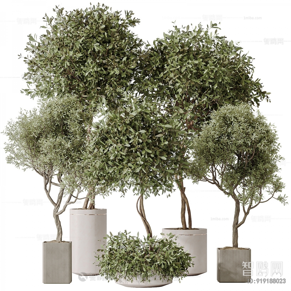 Modern Ground Green Plant Potted Plants