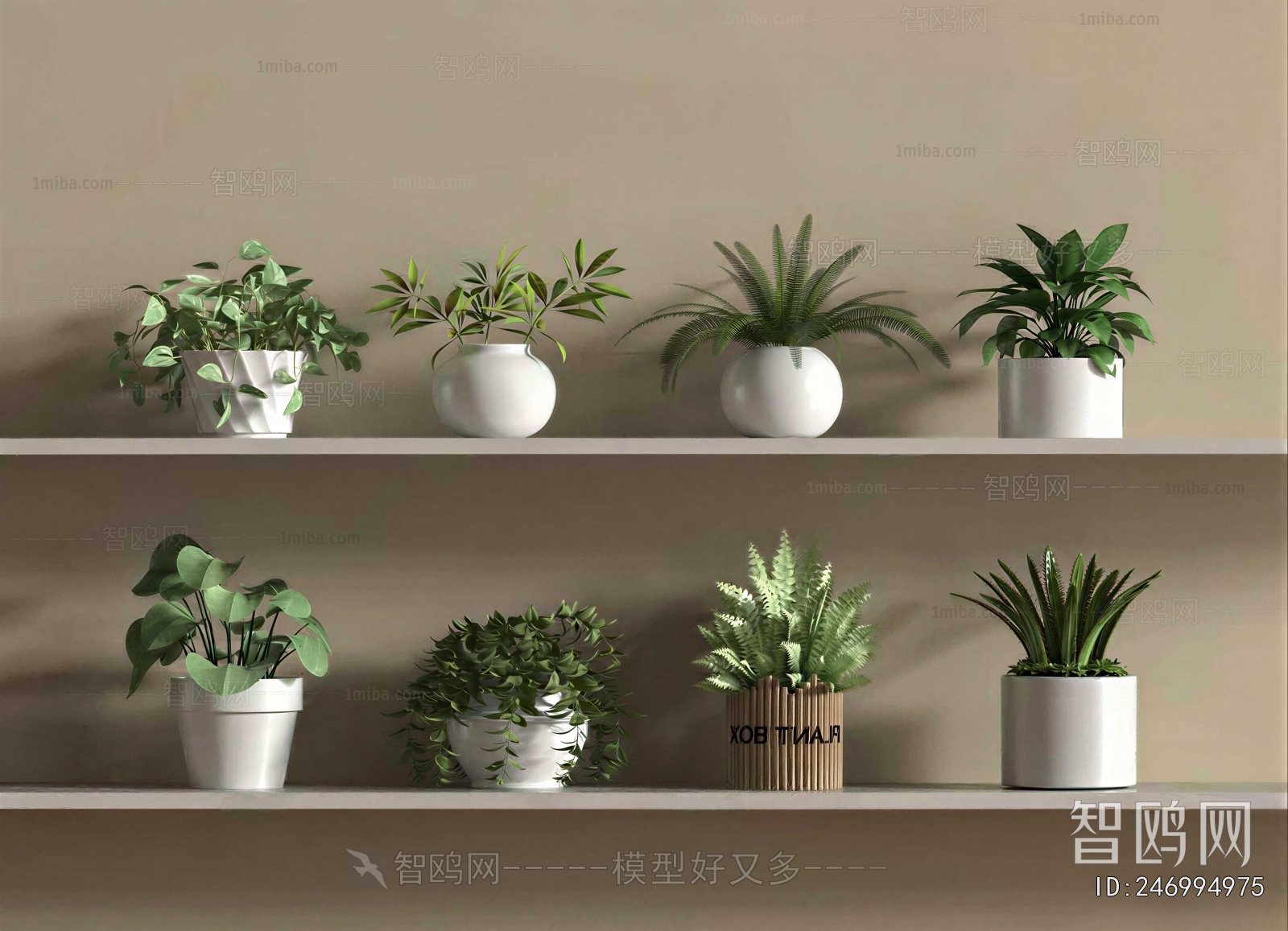 Modern Potted Green Plant