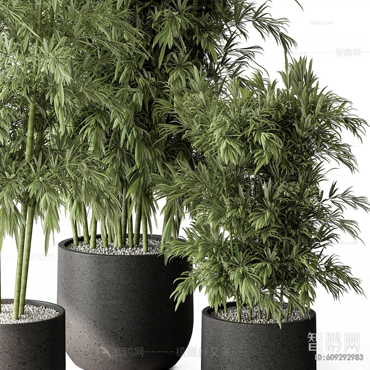 Modern Ground Green Plant Potted Plants