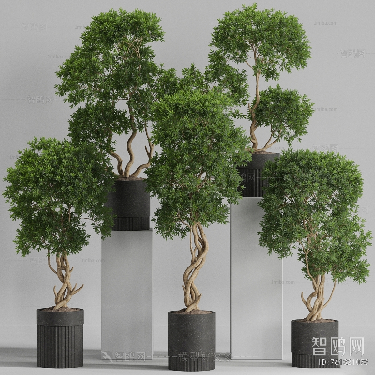 Modern Ground Green Plant Potted Plants