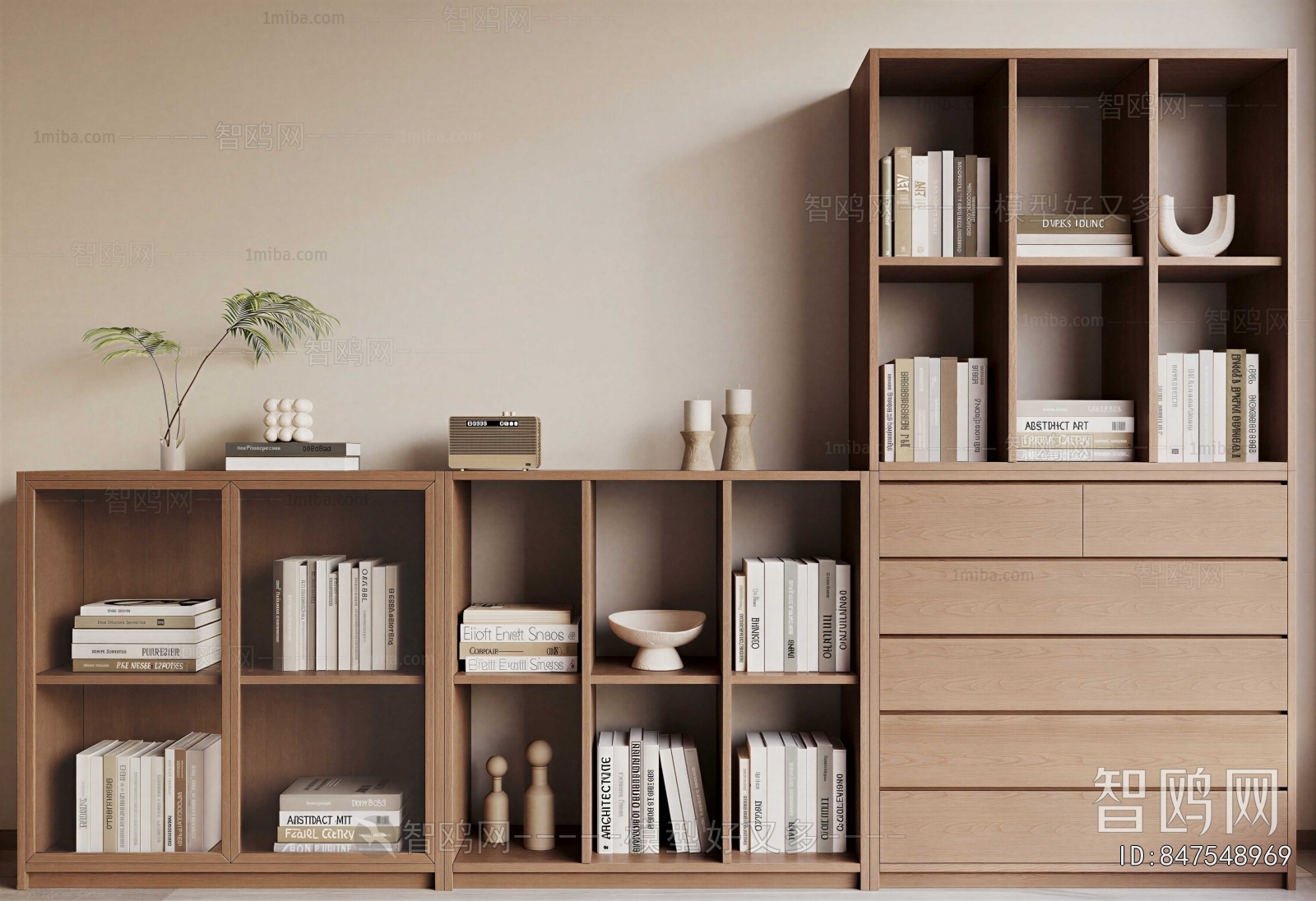 Modern Bookcase