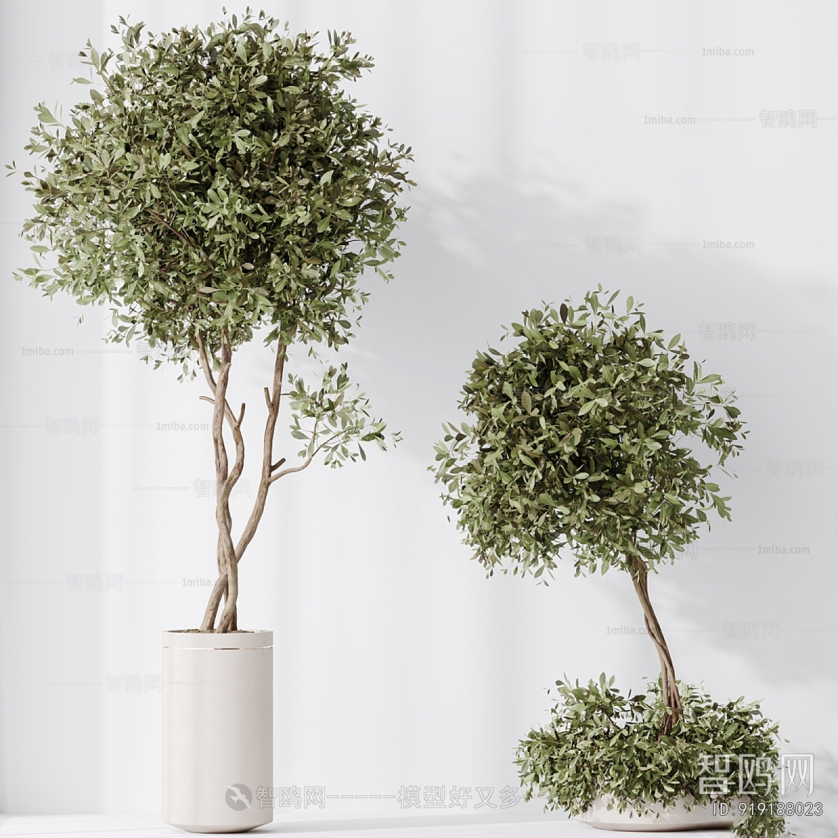 Modern Ground Green Plant Potted Plants