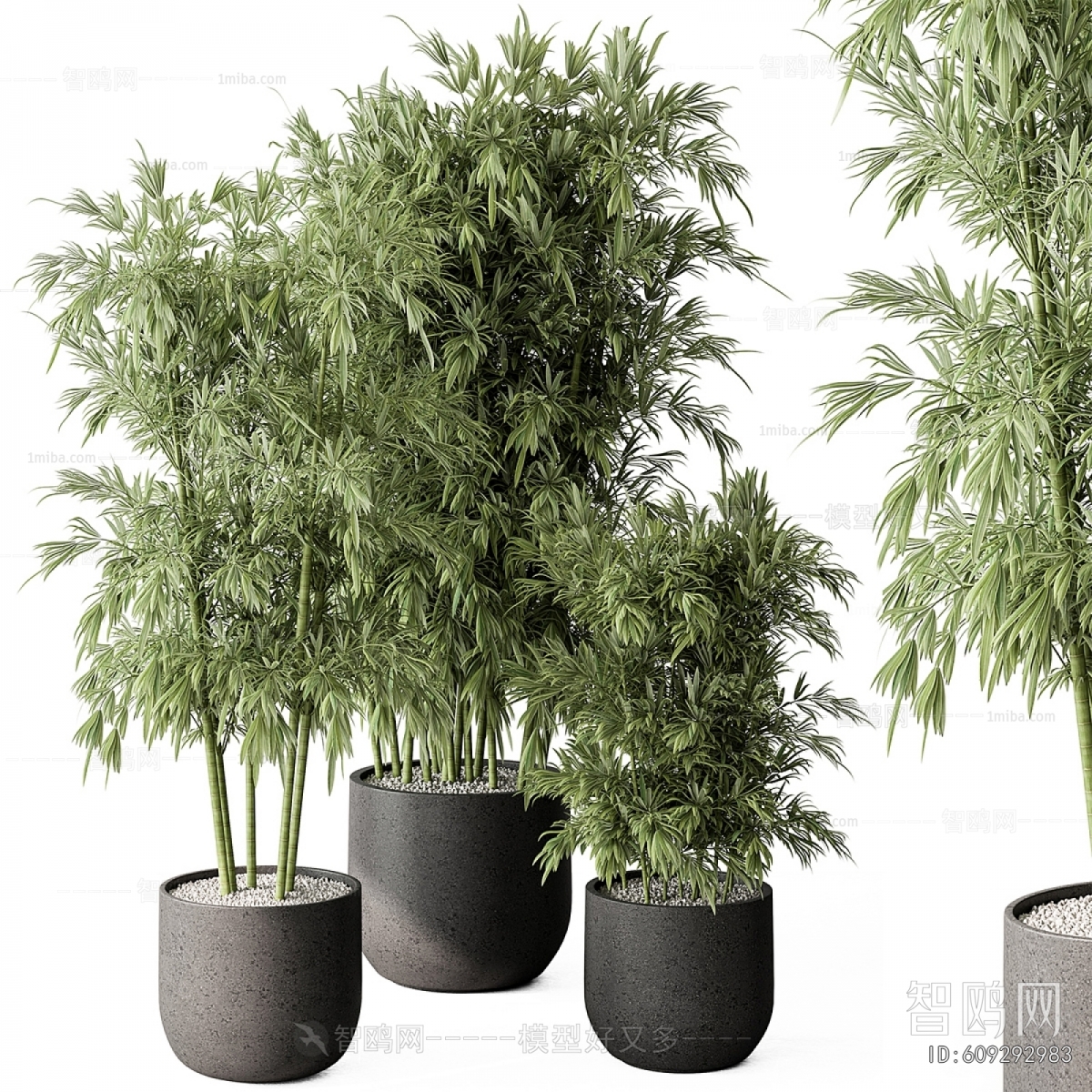 Modern Ground Green Plant Potted Plants