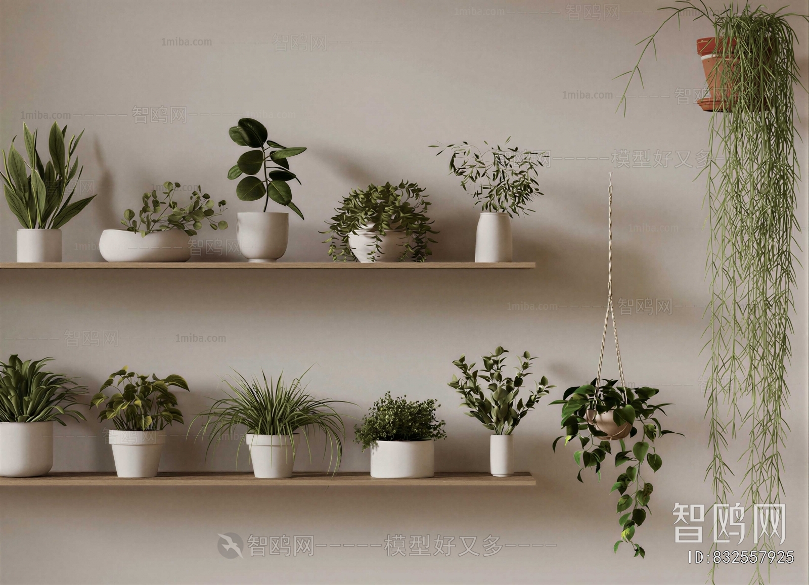 Modern Potted Green Plant