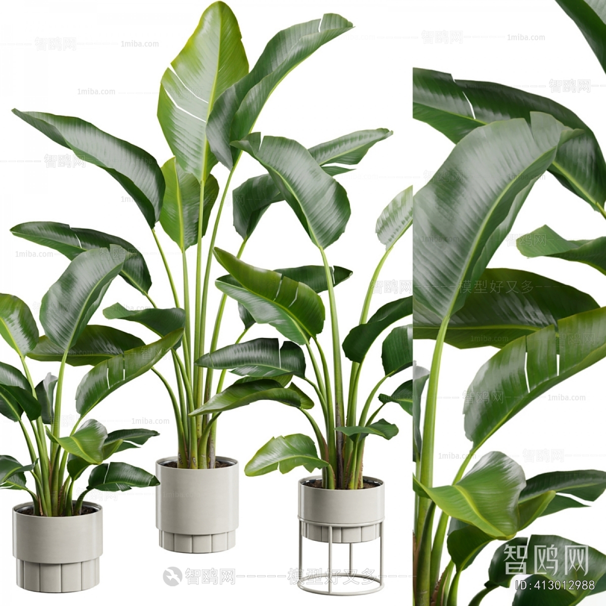 Modern Ground Green Plant Potted Plants