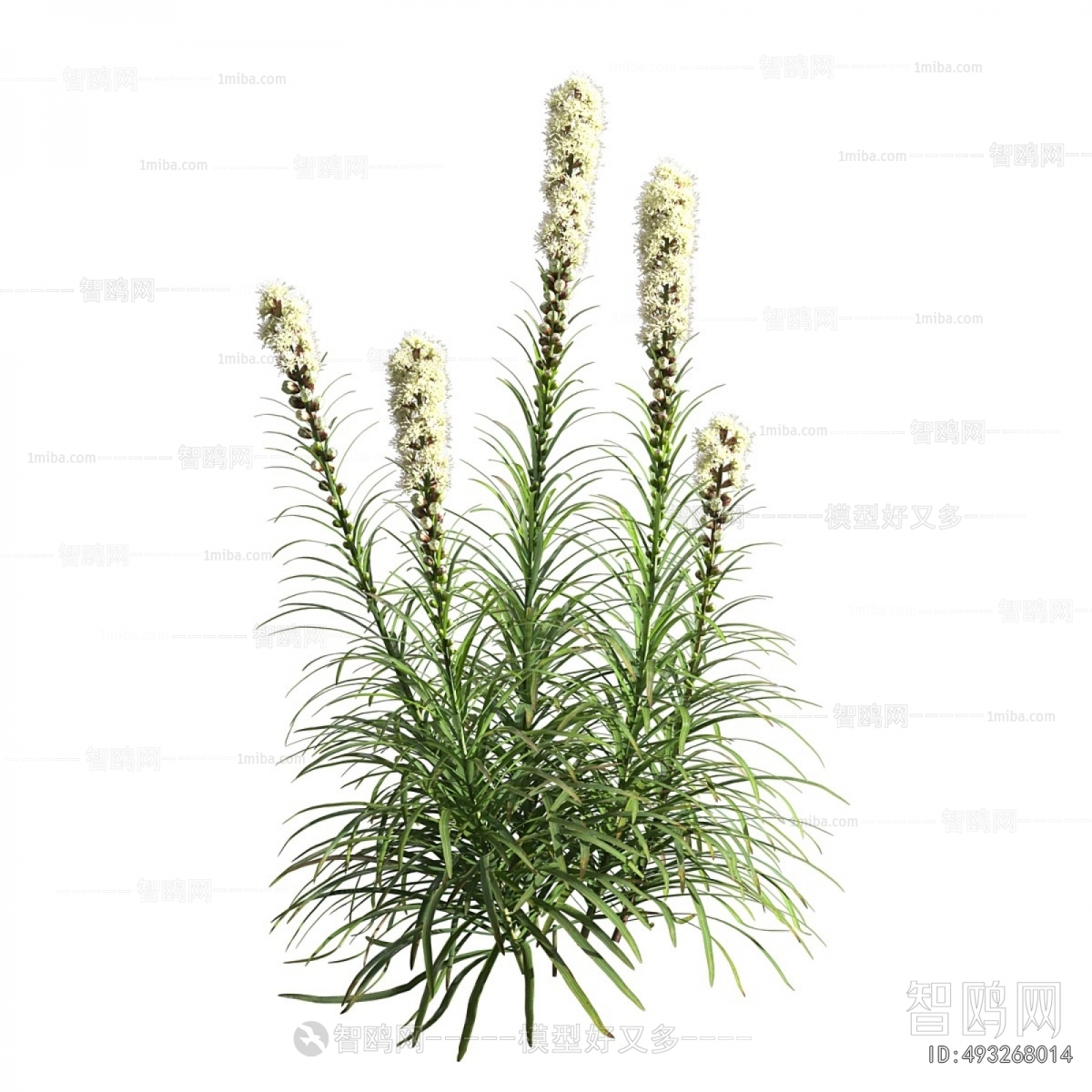 Modern Flowers And Grass