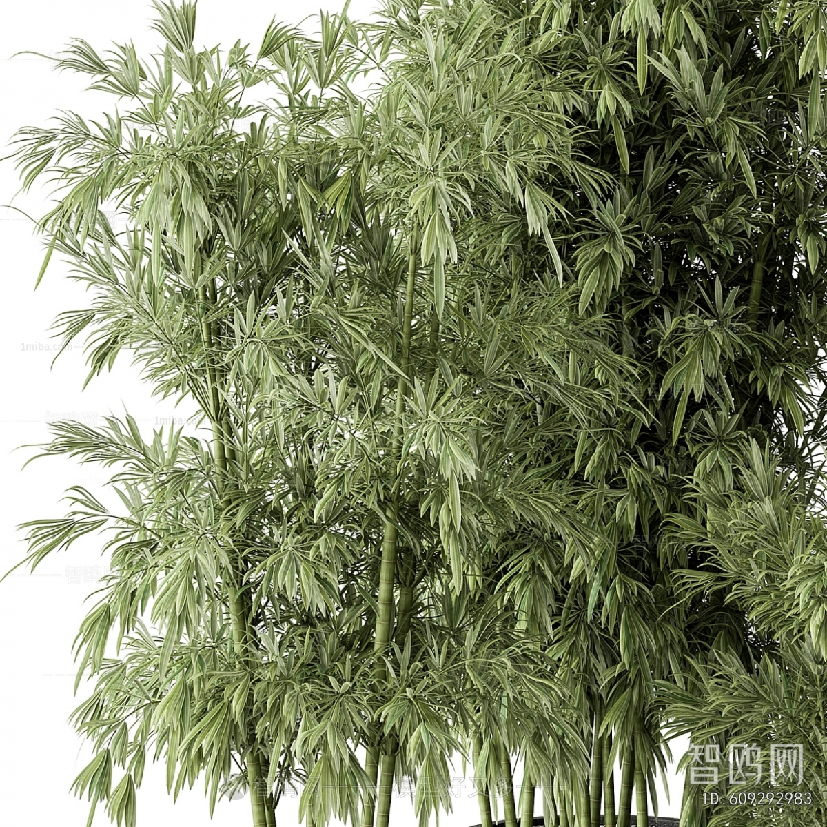 Modern Ground Green Plant Potted Plants