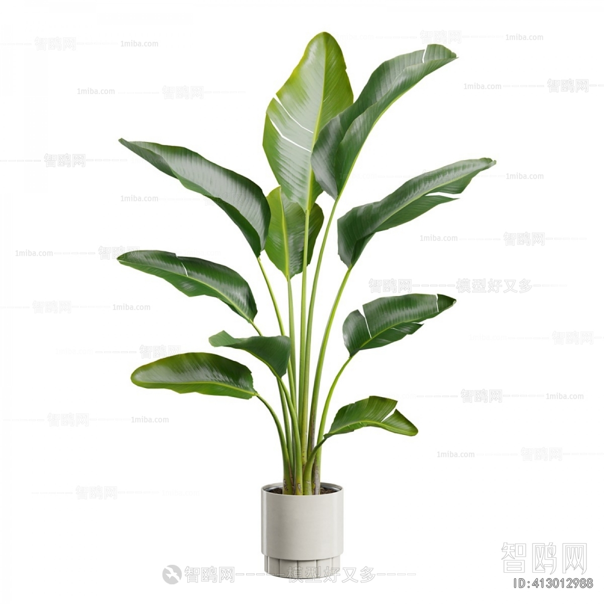 Modern Ground Green Plant Potted Plants