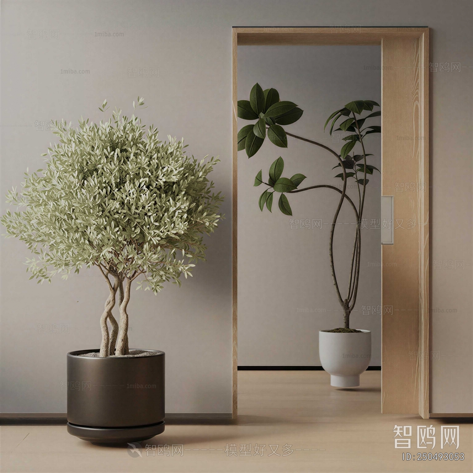 Modern Ground Green Plant Potted Plants