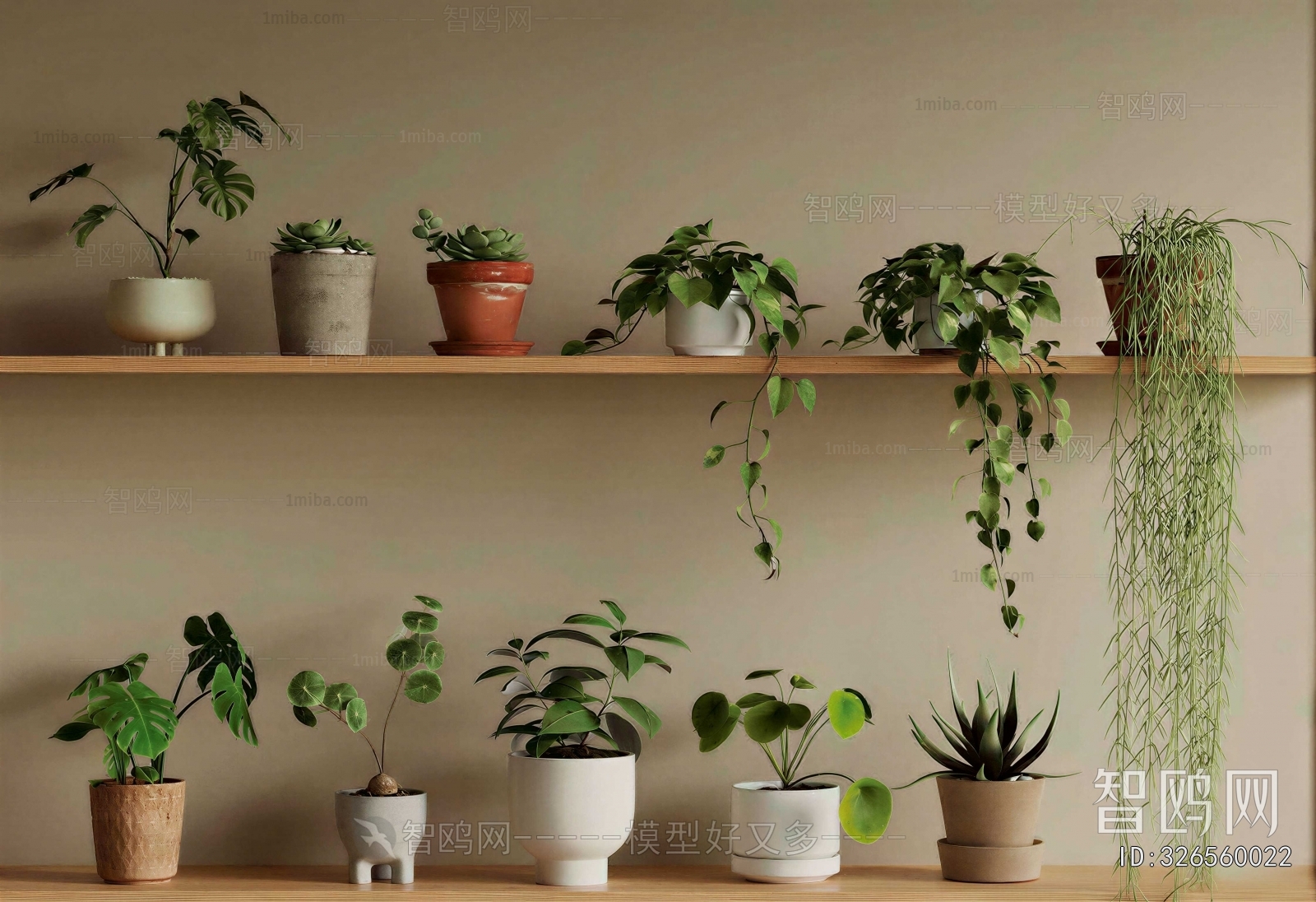 Modern Potted Green Plant