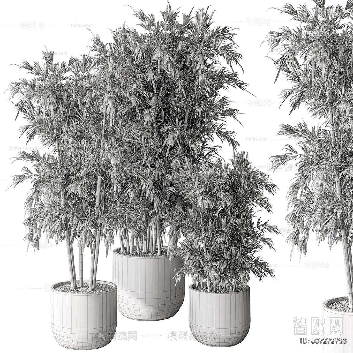 Modern Ground Green Plant Potted Plants