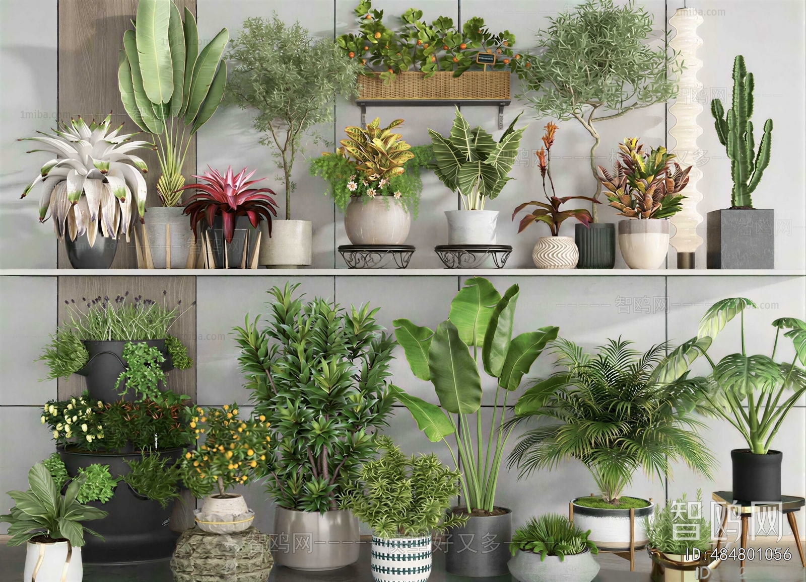 Modern Ground Green Plant Potted Plants