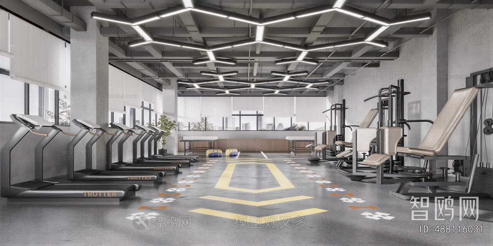 Industrial Style Gym