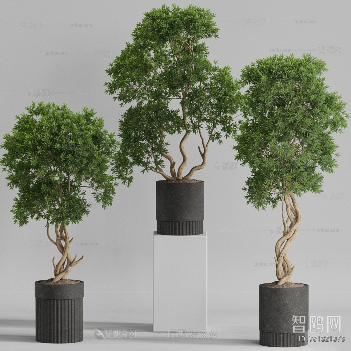 Modern Ground Green Plant Potted Plants