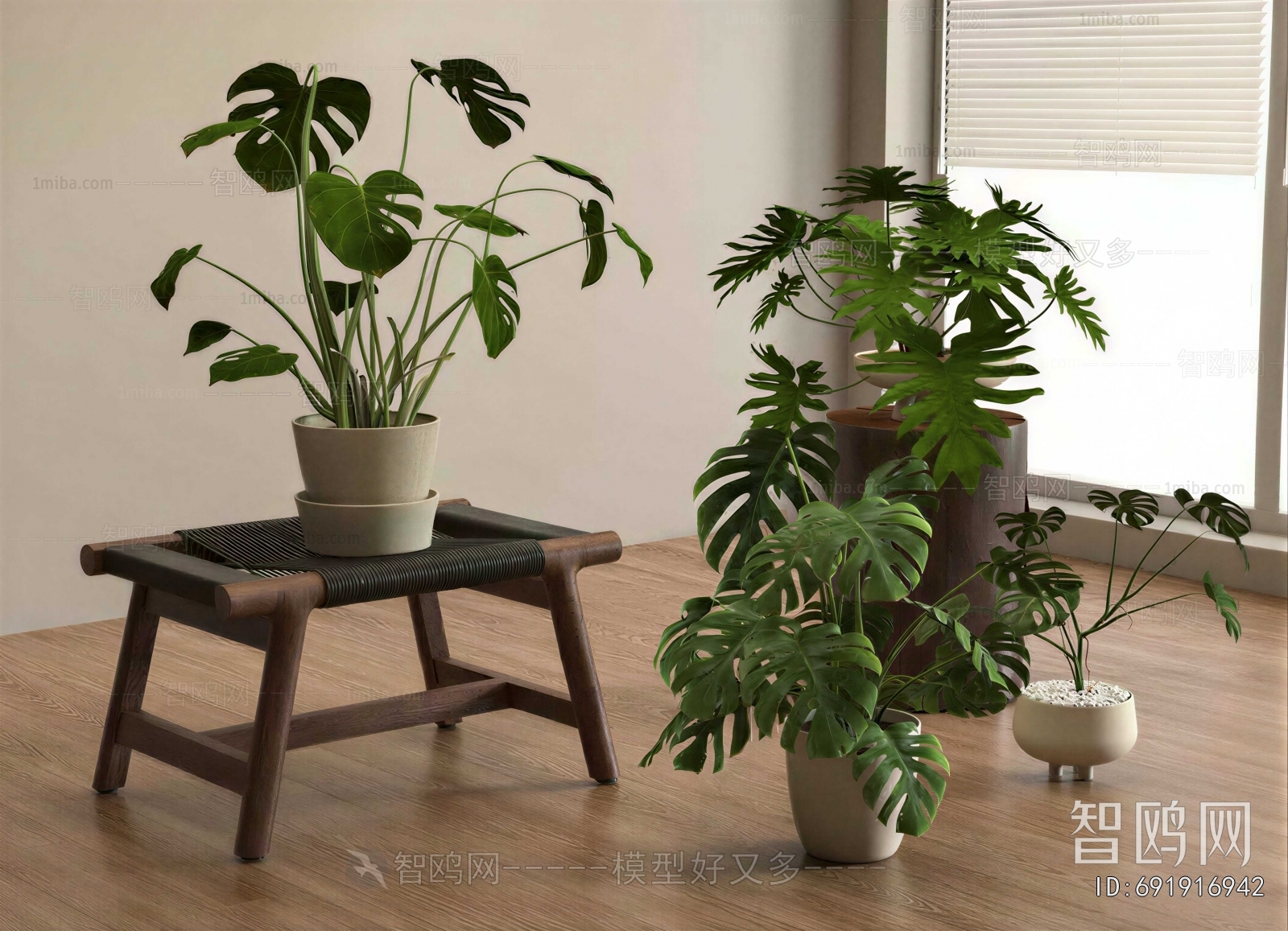 Modern Potted Green Plant
