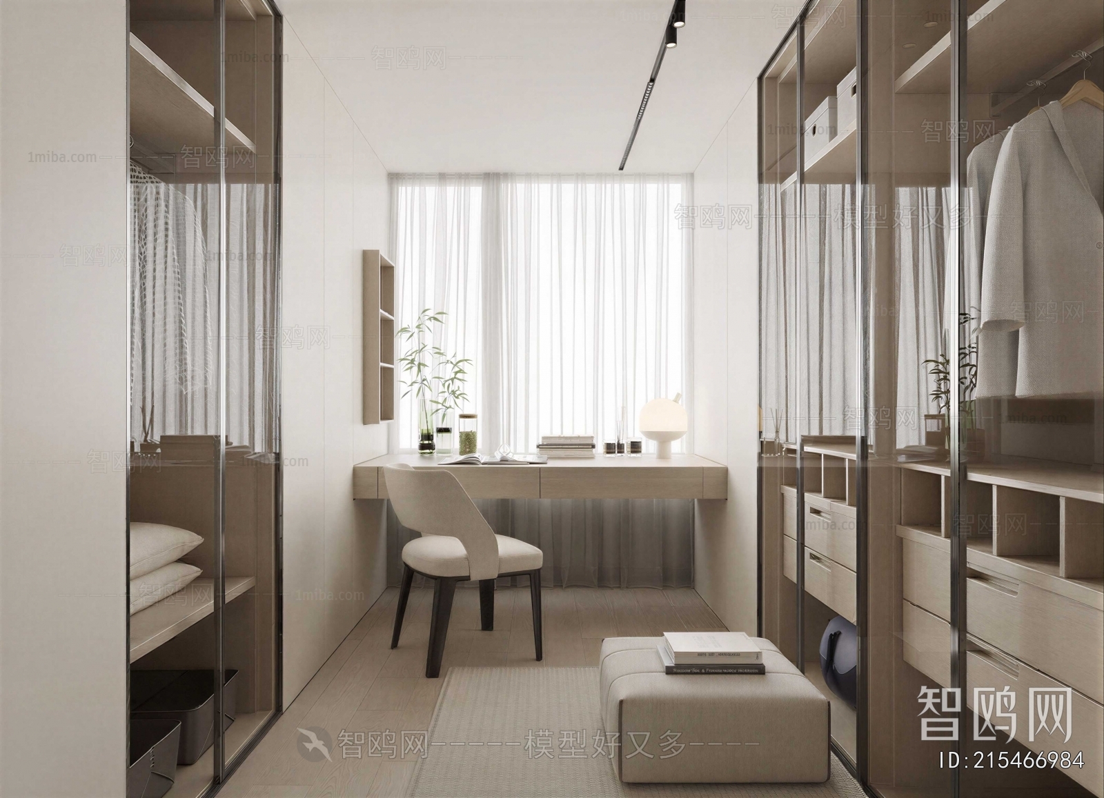 Modern Clothes Storage Area