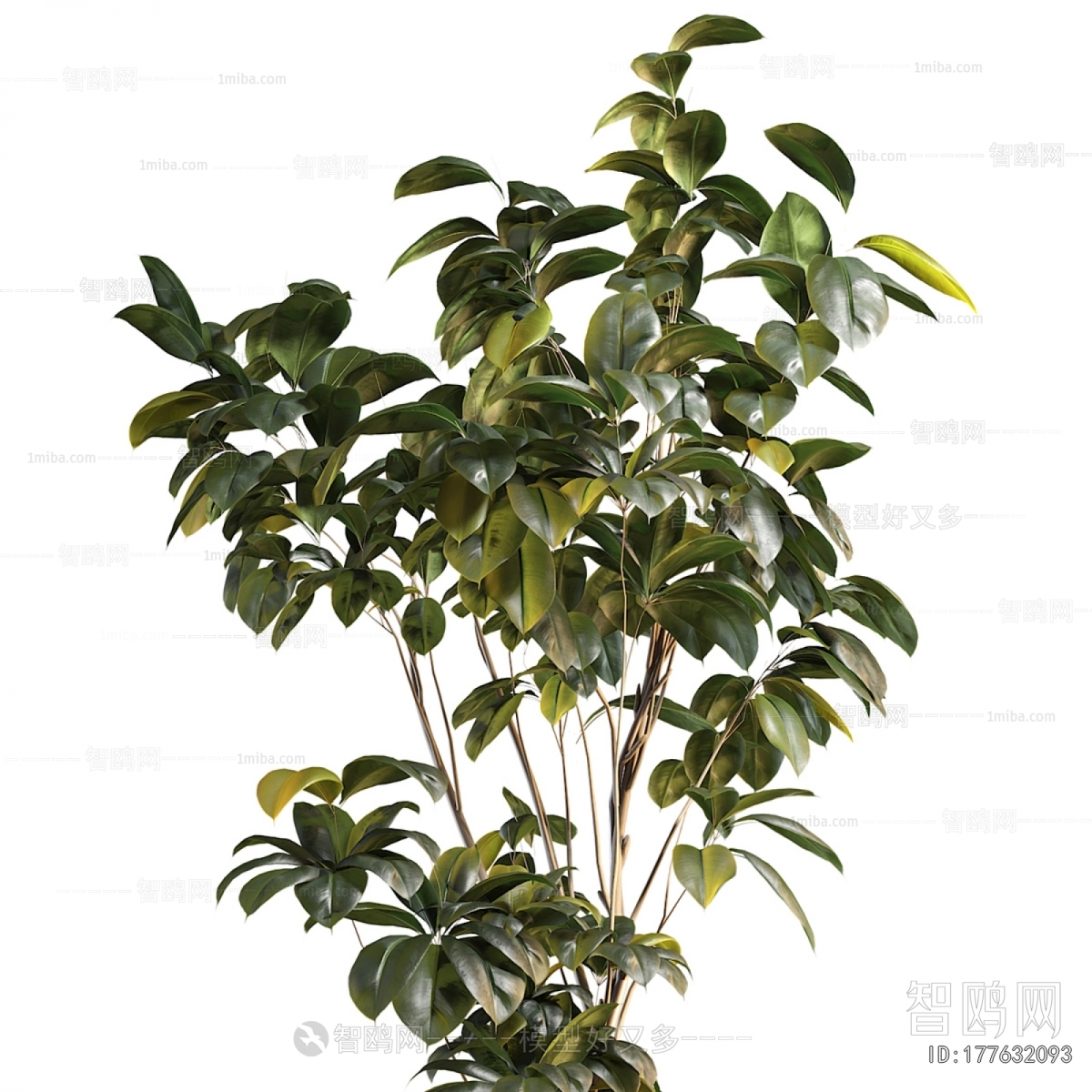 Modern Ground Green Plant Potted Plants