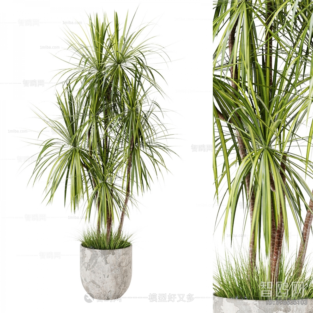 Modern Ground Green Plant Potted Plants