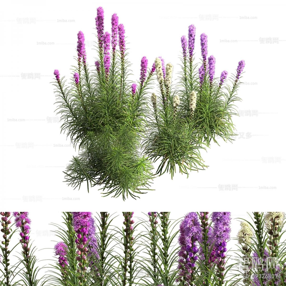 Modern Flowers And Grass