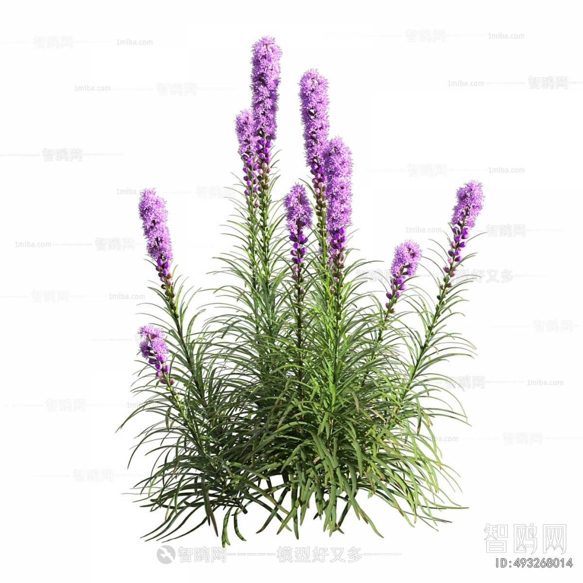 Modern Flowers And Grass