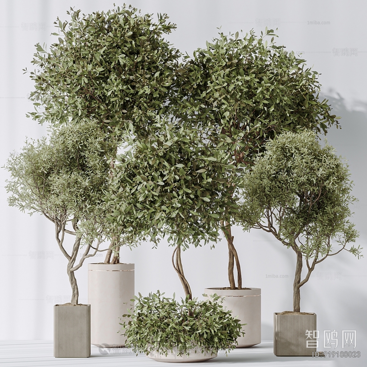 Modern Ground Green Plant Potted Plants