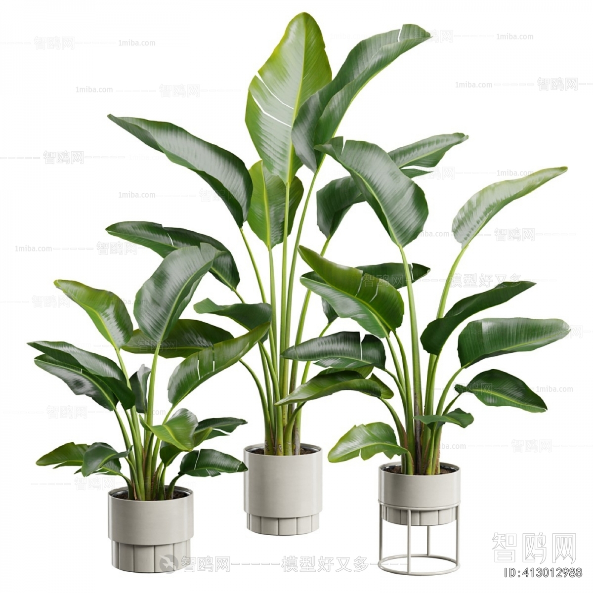 Modern Ground Green Plant Potted Plants