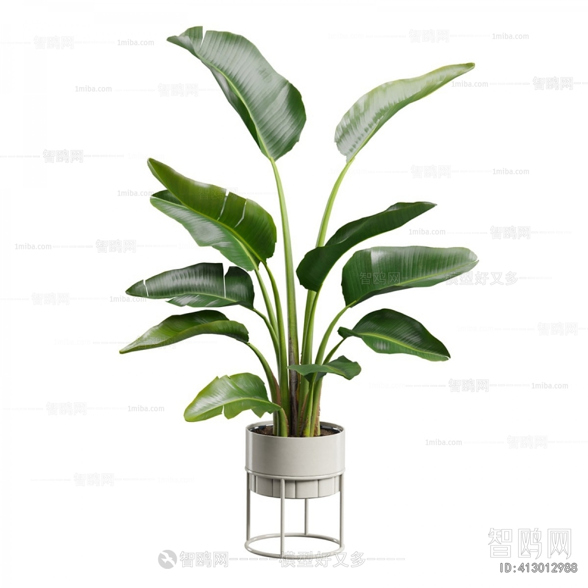 Modern Ground Green Plant Potted Plants