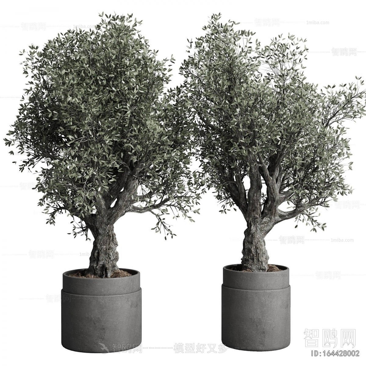 Modern Ground Green Plant Potted Plants