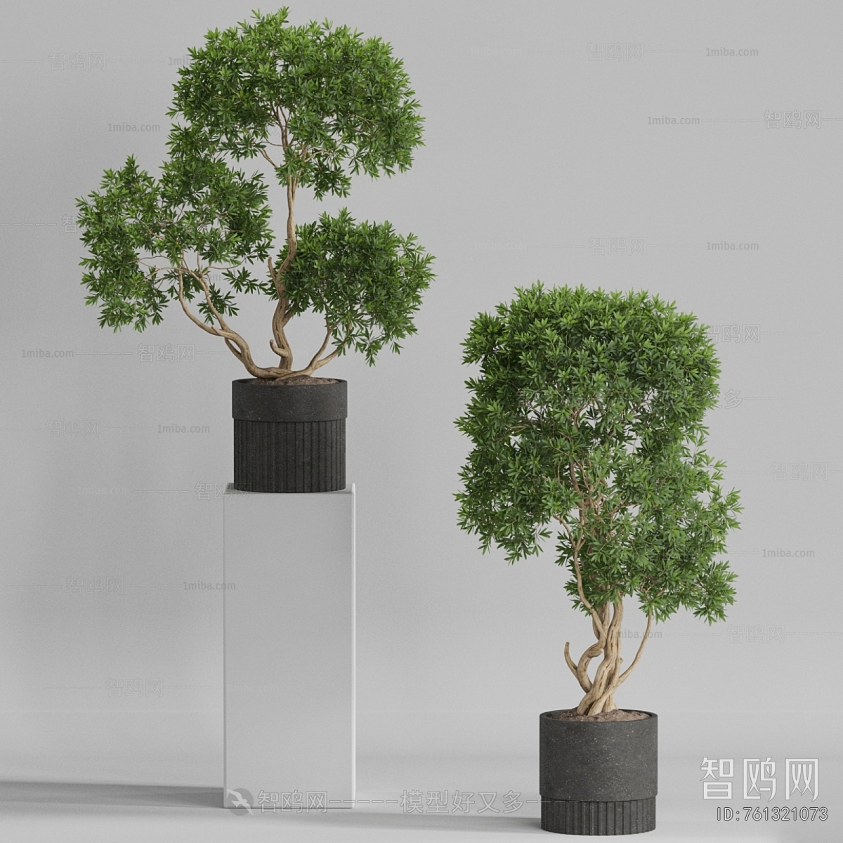 Modern Ground Green Plant Potted Plants