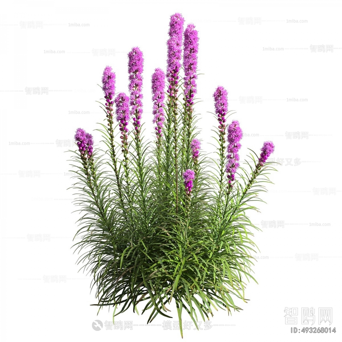 Modern Flowers And Grass