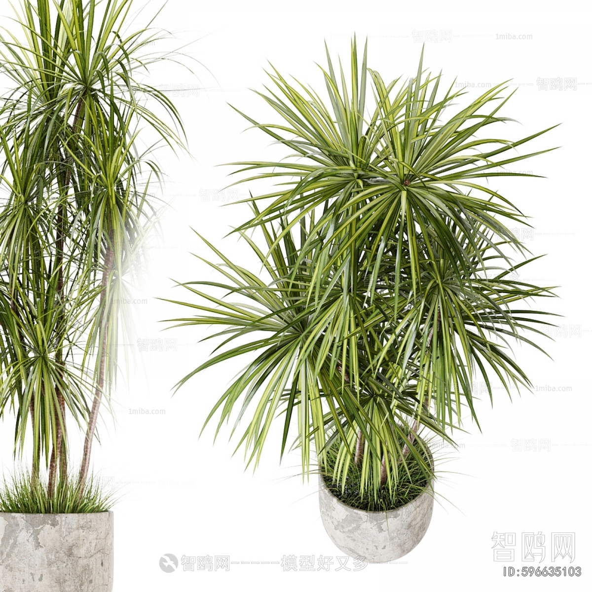 Modern Ground Green Plant Potted Plants
