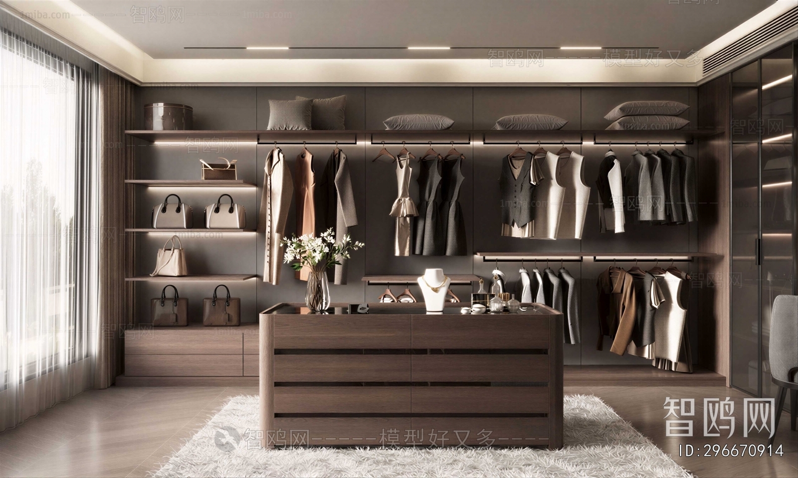 Modern Clothes Storage Area